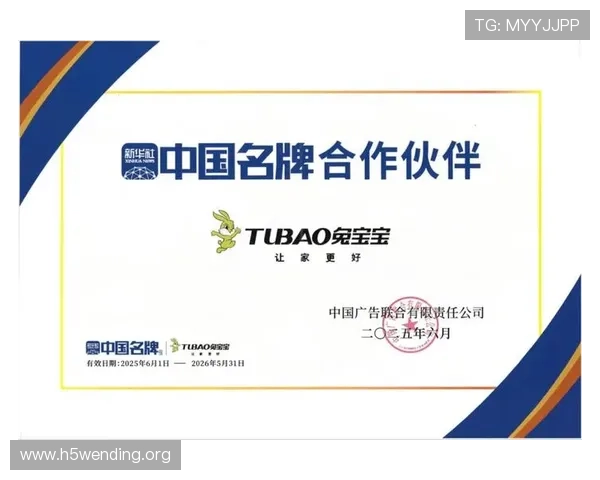 问鼎旗舰网站：打造具有行业特色的旗舰网站，增强企业品牌影响力的实用方案